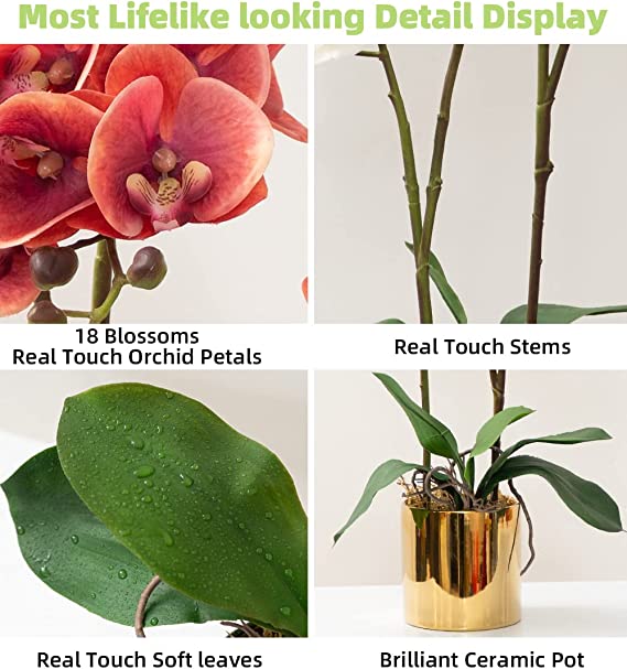 Artificial Orchid Flower Plants Real Touch Faux Orchids in Ceramic Vase