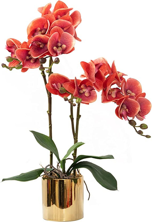 Artificial Orchid Flower Plants Real Touch Faux Orchids in Ceramic Vase